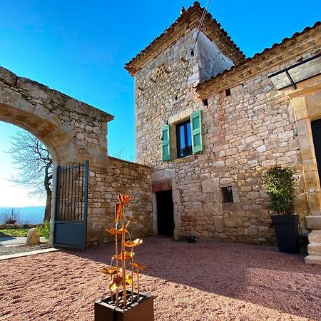 Domaine De Lejos - Portes D'Albi Lamillarié Kültér fotó