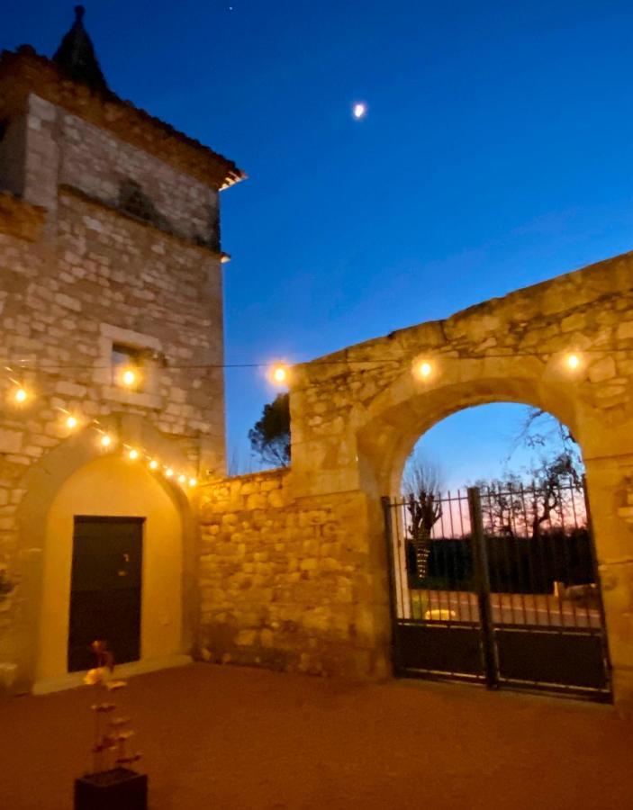 Domaine De Lejos - Portes D'Albi Lamillarié Kültér fotó