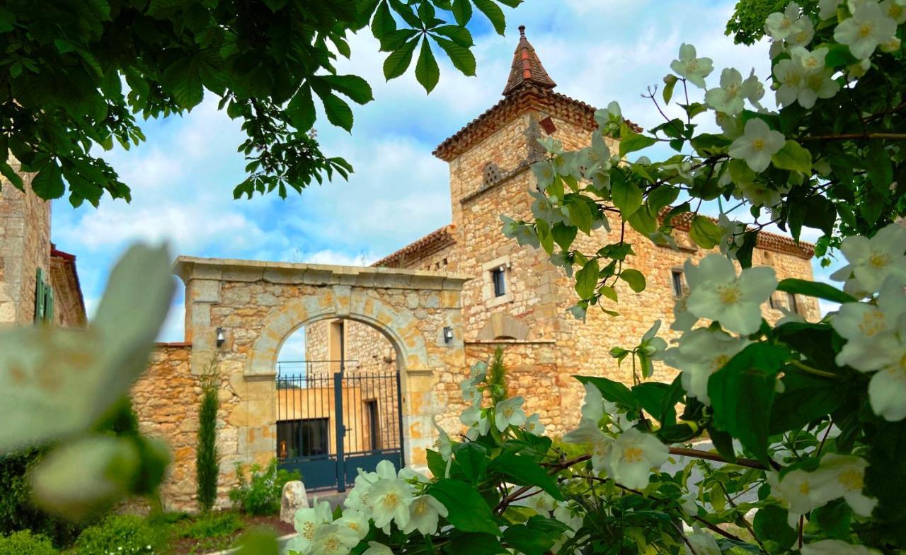 Domaine De Lejos - Portes D'Albi Lamillarié Kültér fotó
