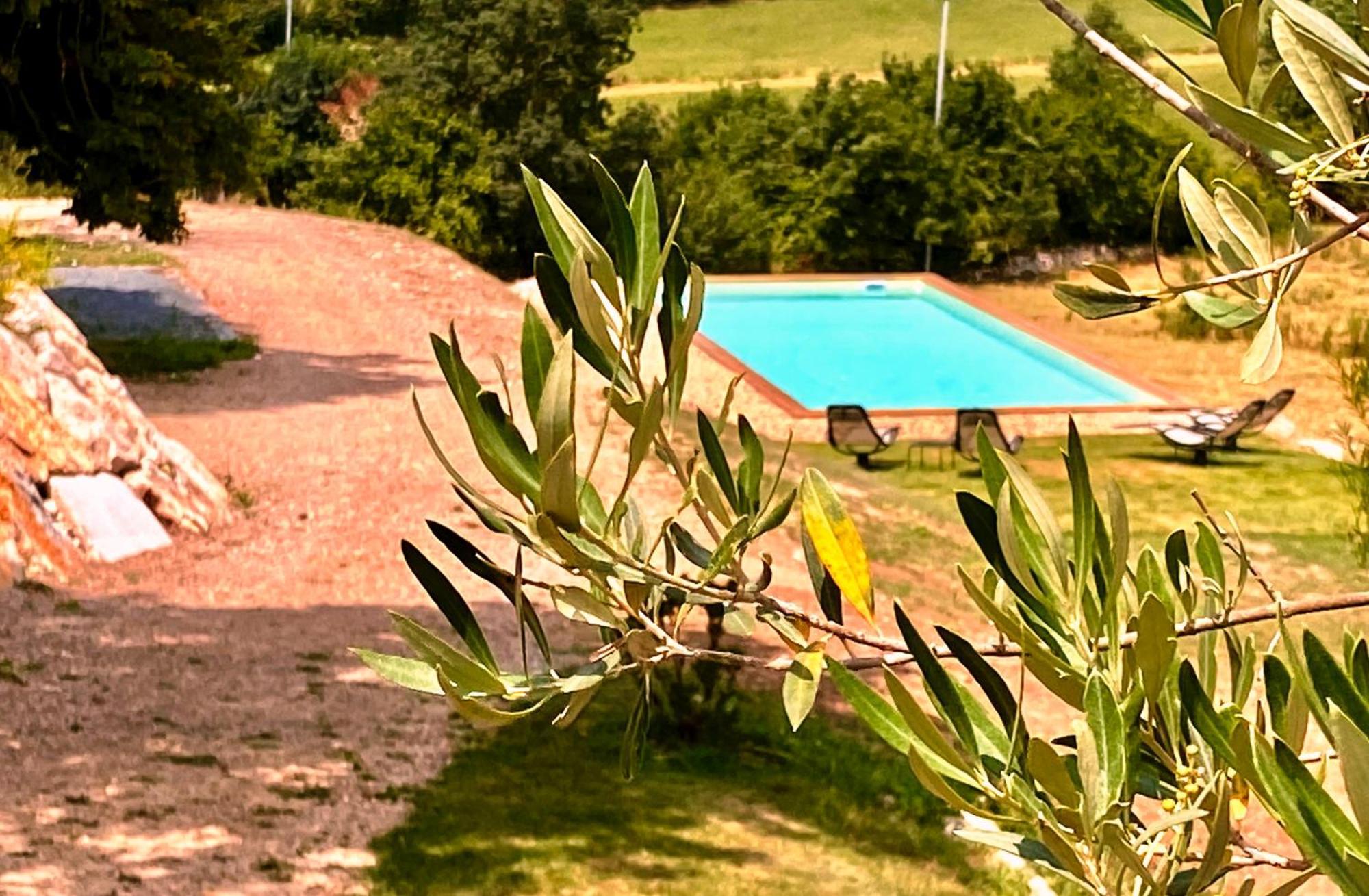 Domaine De Lejos - Portes D'Albi Lamillarié Kültér fotó